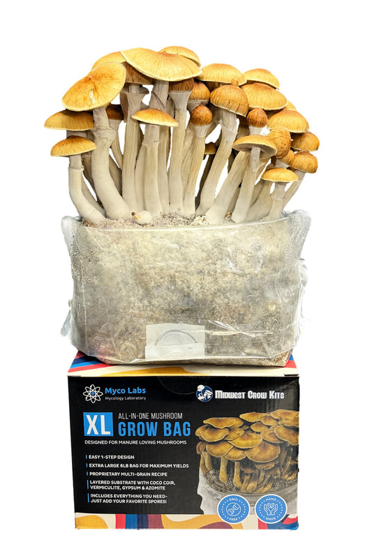 XL All-in-One Mushroom Grow Bag (6 lbs) for Manure Loving Mushrooms - Image 2