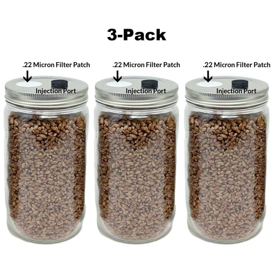 3-Pack Original Rye Grain Jars (32oz) - Image 2