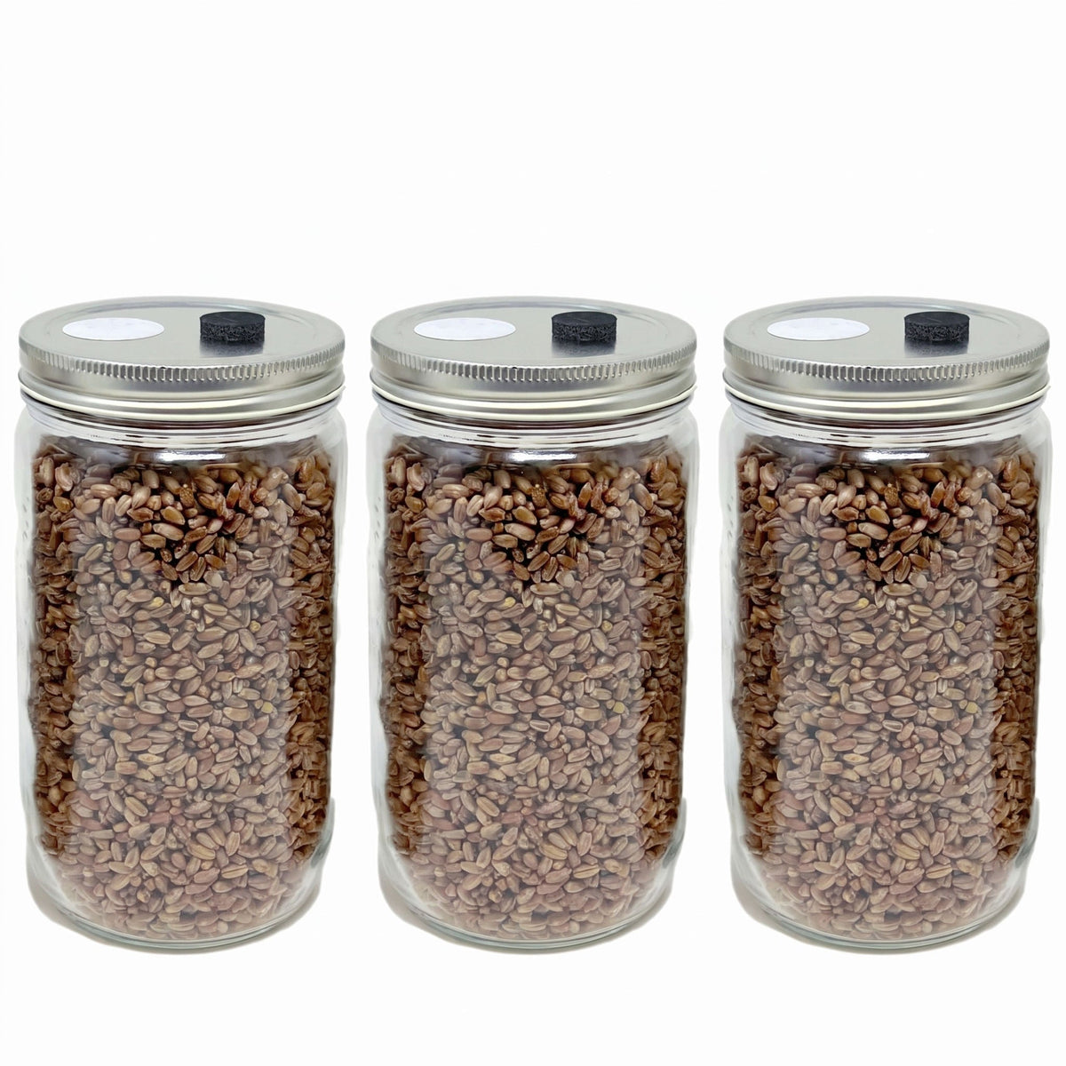 3-Pack Original Rye Grain Jars (32oz) - Image 1