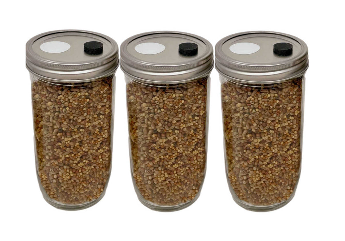 3-Pack Premium 24 Oz Super-Quick-Colonizing 5-grain Jar (24oz) - Image 1