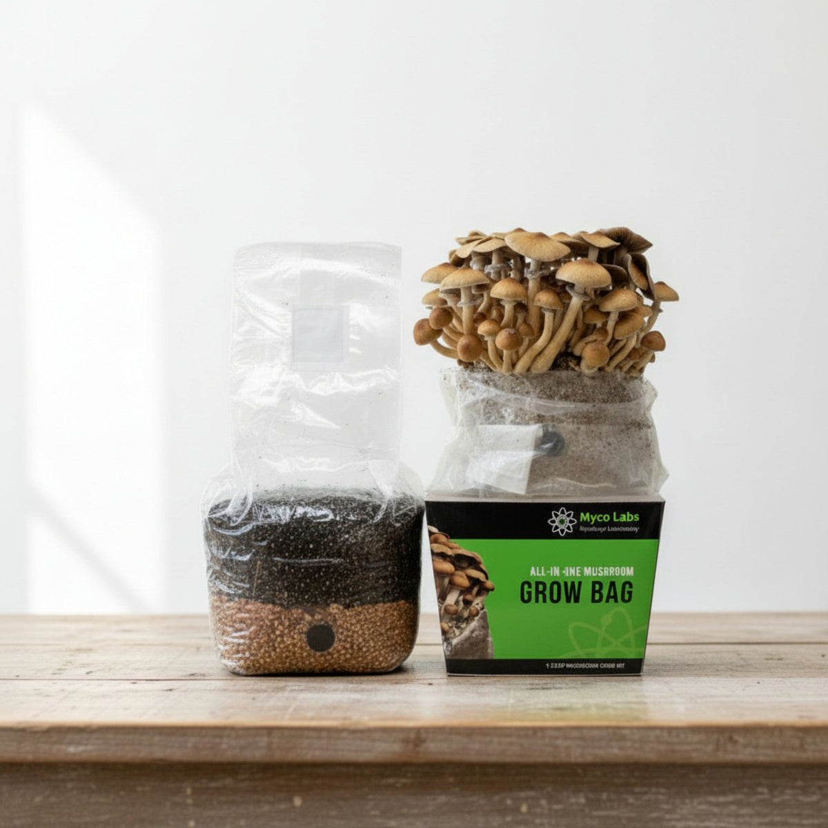 All-in-One Mushroom Grow Bag (4 lbs) for Manure Loving Mushrooms - Image 2