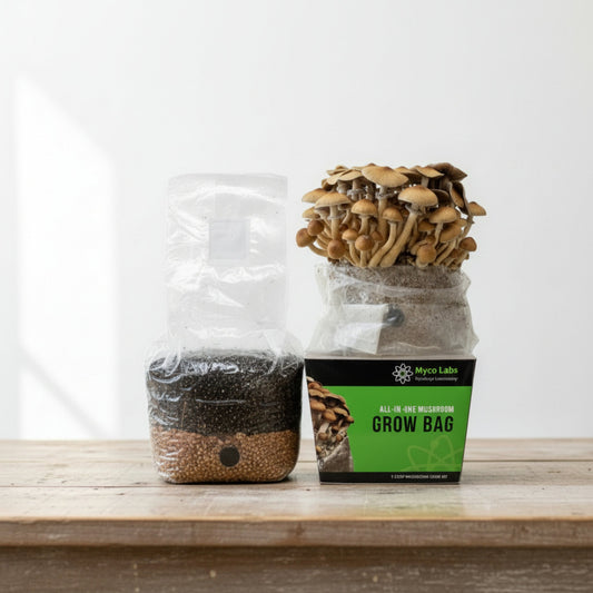 All-in-One Mushroom Grow Bag (4 lbs) for Manure Loving Mushrooms - Image 2
