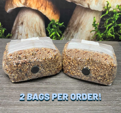Premium 5-Grain Spawn Bags | Sterile Grain Bags for Mushroom Cultivation - Image 4