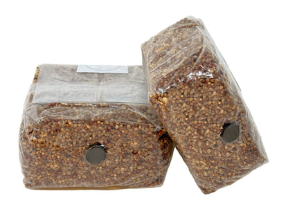 Premium 5-Grain Spawn Bags | Sterile Grain Bags for Mushroom Cultivation - Image 3