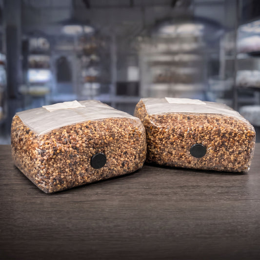 Premium 5-Grain Spawn Bags | Sterile Grain Bags for Mushroom Cultivation - Image 1