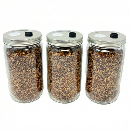 3-Pack Premium Quick-Colonizing 5-grain Jar (32oz) - Image 1