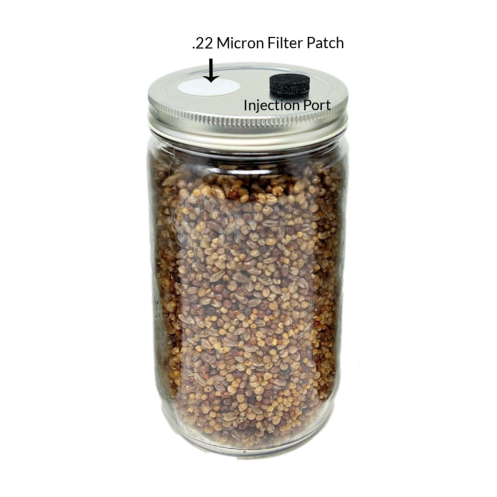 Premium Quick-Colonizing 5-grain Jar (32oz) - Image 1
