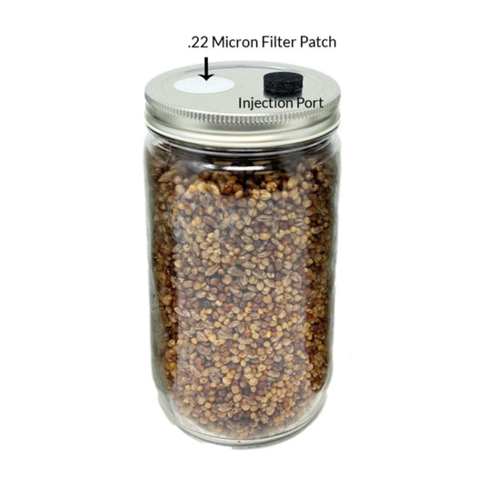 Premium Quick-Colonizing 5-grain Jar (32oz) - Image 1
