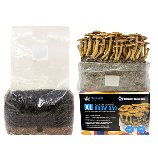 XL All-in-One Mushroom Grow Bag (6 lbs) for Manure Loving Mushrooms - Image 1