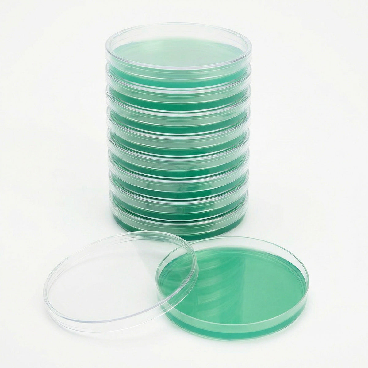 Pre-Poured Sterilized Malt Extract Agar Plates (10-Pack) - Image 6