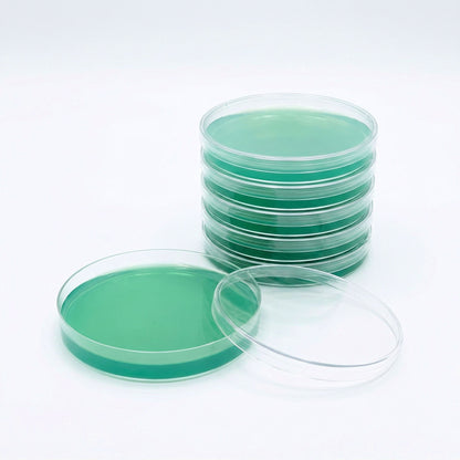 Pre-Poured Sterilized Malt Extract Agar Plates (5-Pack) - Image 4