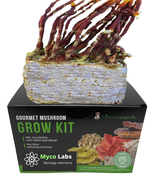 Antler Reishi Mushroom Grow Kit (5lbs) - Image 1