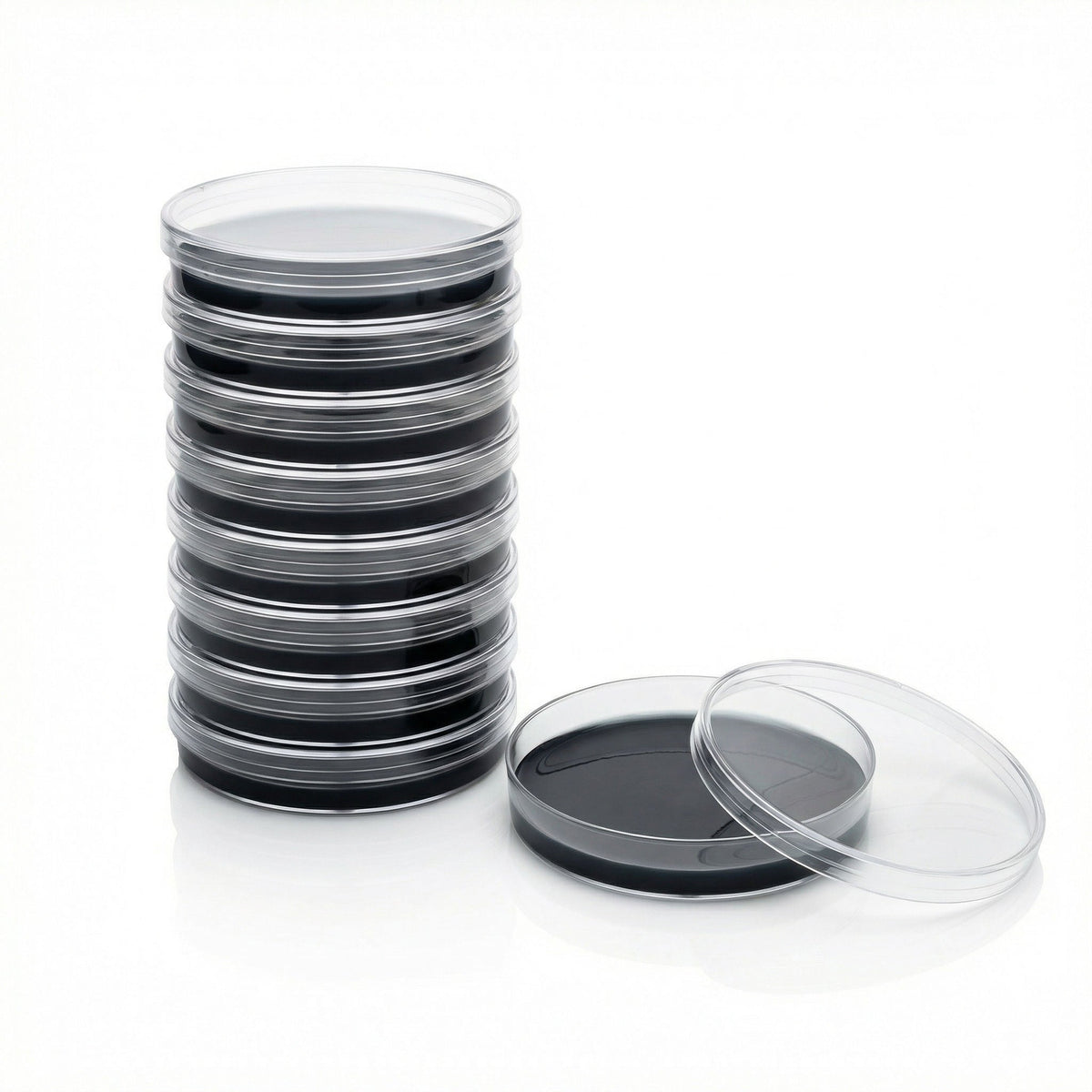 Pre-Poured Sterilized BLACK MEA Agar Plates (10-Pack) - Image 1