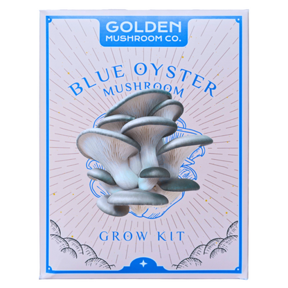 Blue Oyster Mushroom Grow Kit 3LB - Retail Case Pack (10 Kits) - Image 1