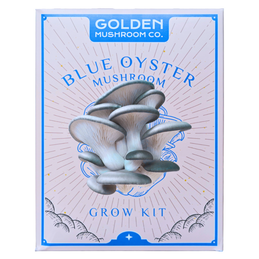 Blue Oyster Mushroom Grow Kit 3LB - Retail Case Pack (10 Kits) - Image 1