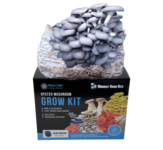 Blue Oyster Mushroom Grow Kit (5lbs) - Image 1