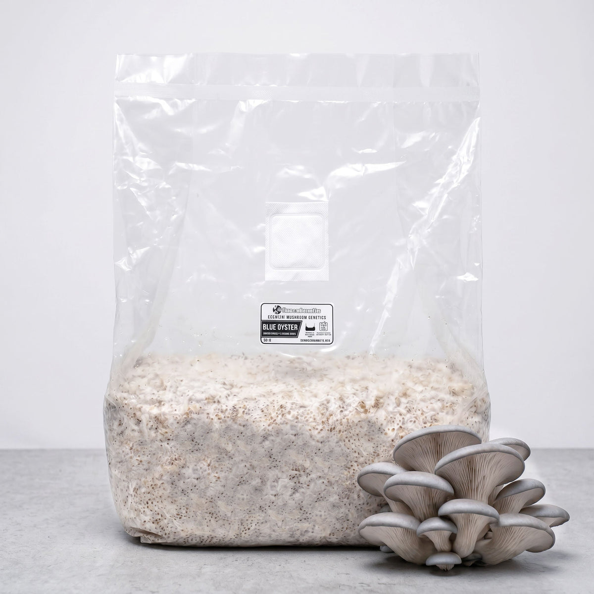 Blue Oyster Colonized Grain Spawn Bag 5 LB - Image 1