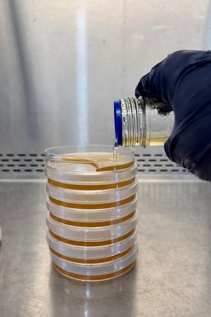 Malt Extract Agar - View 7