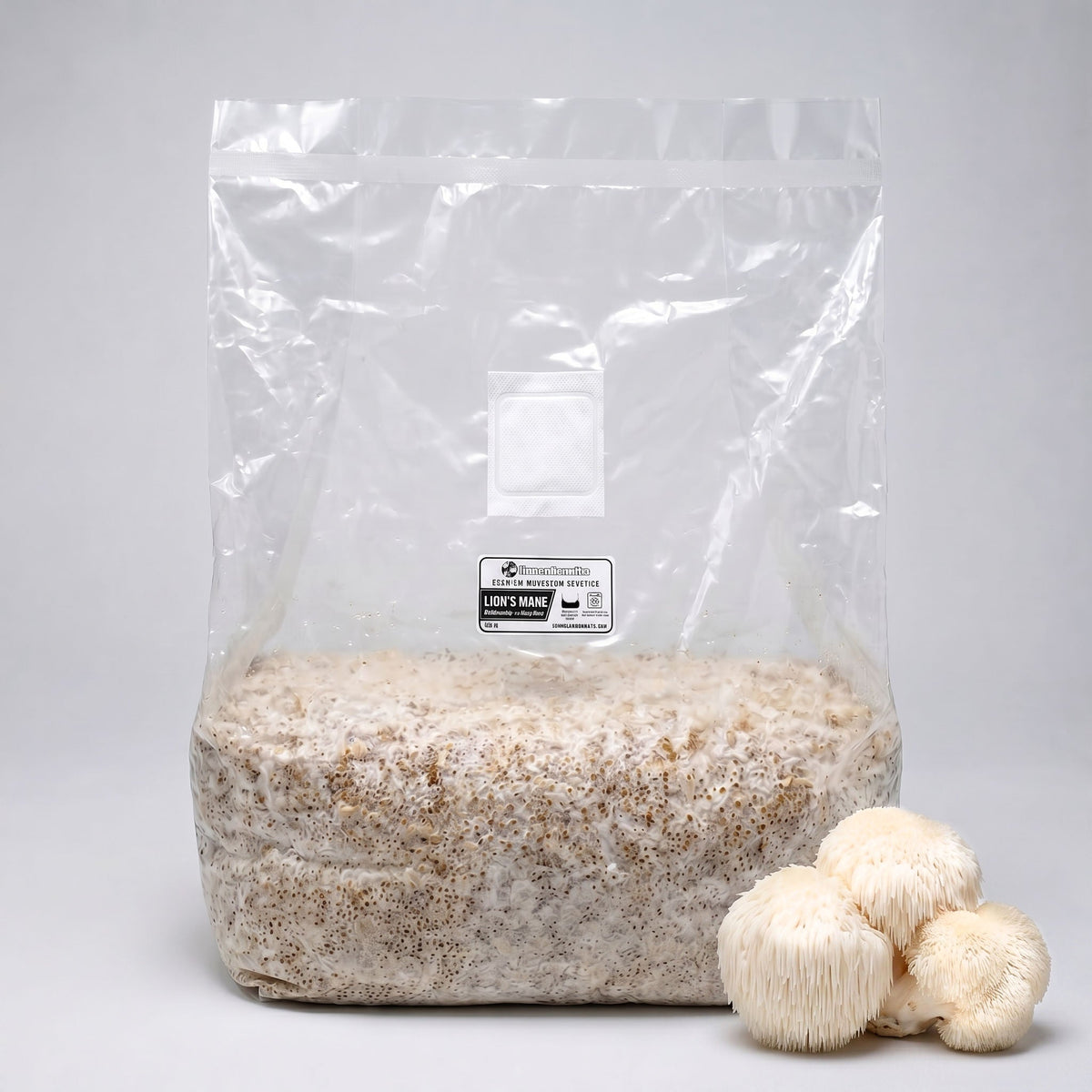 Lion's Mane Colonized Grain Spawn Bag 5 LB - Image 1