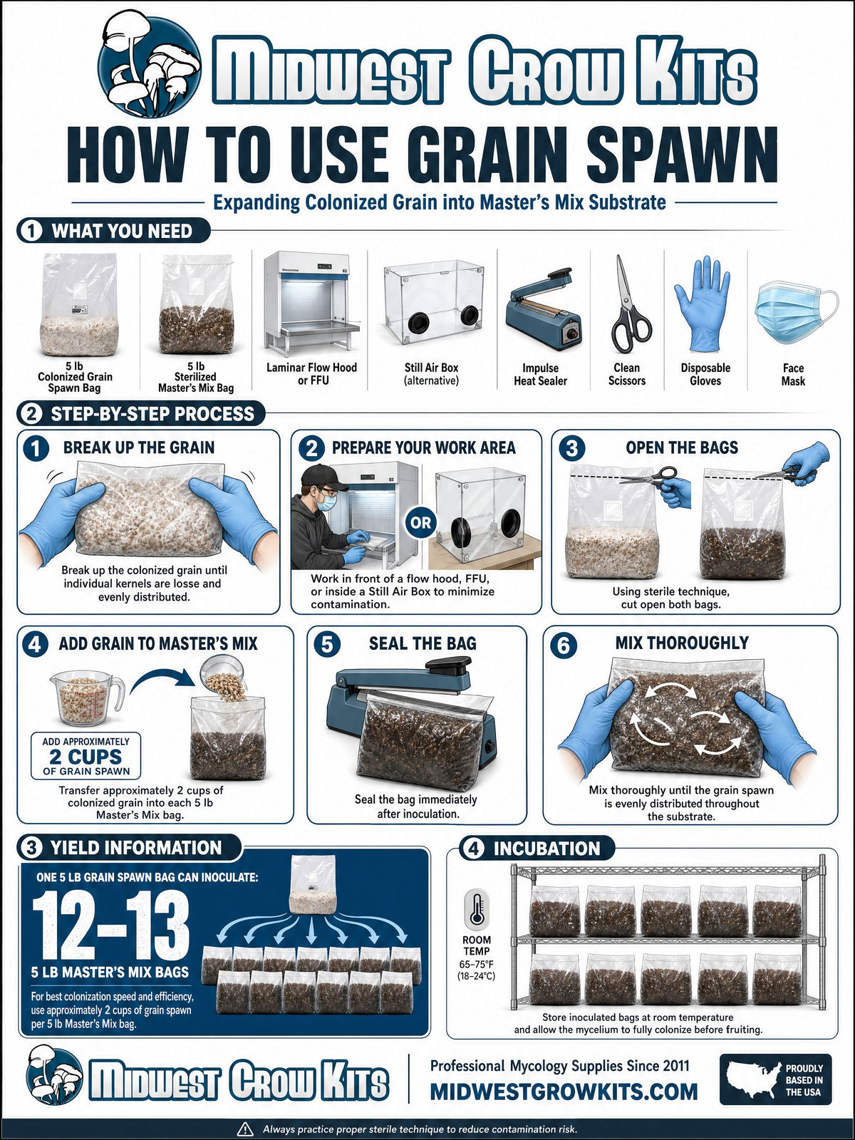 Maitake Colonized Grain Spawn Bag 5 LB - Image 4