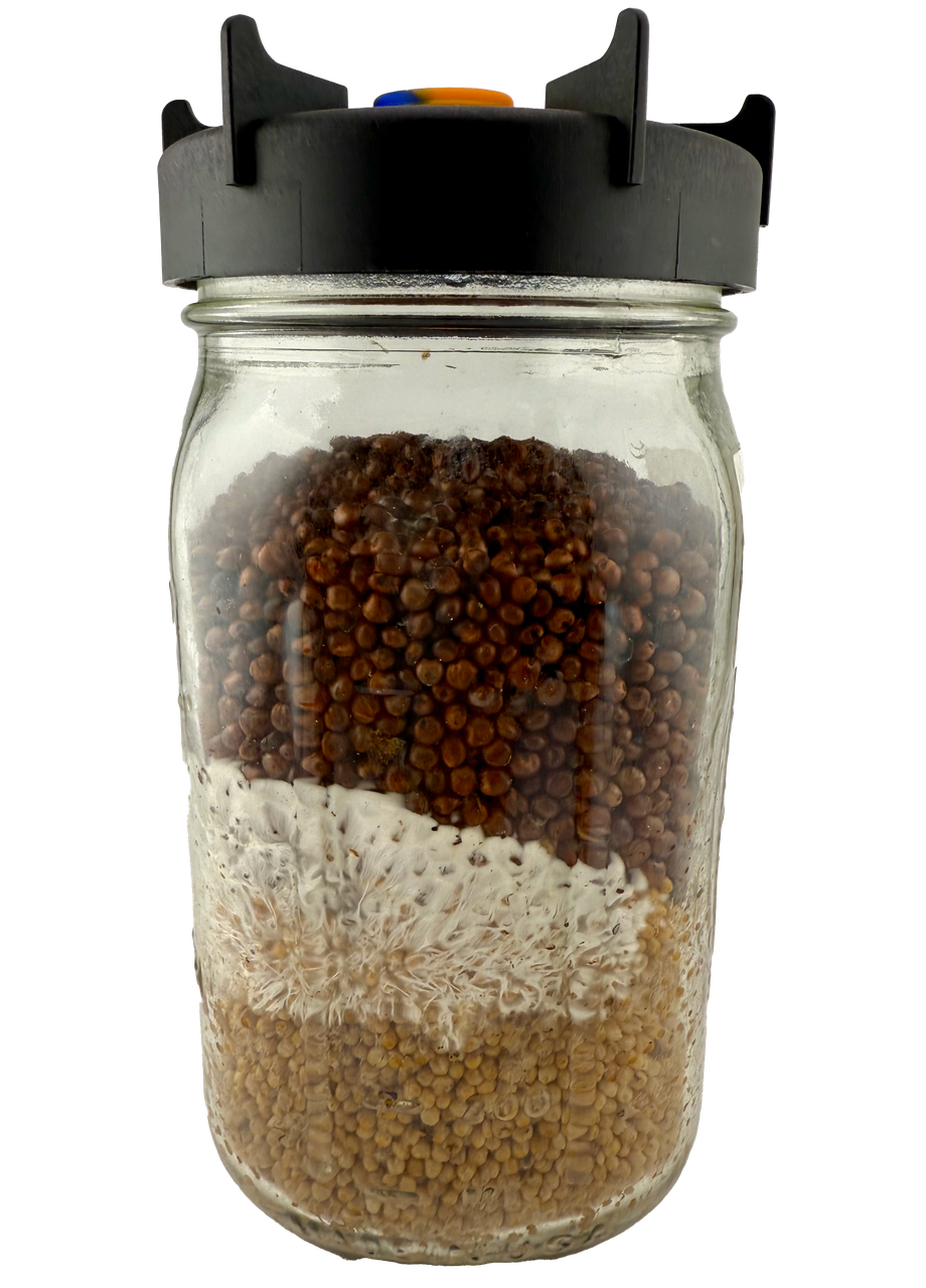"MycoFlow" Widemouth Mycology Lids with Filter, Injection Port + Seal - View 6