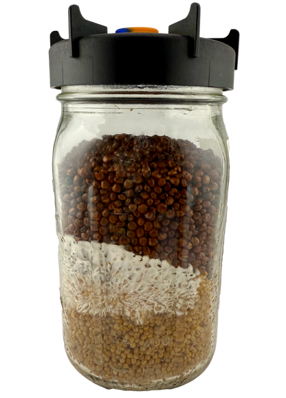 "MycoFlow" Widemouth Mycology Lids with Filter, Injection Port + Seal - View 6