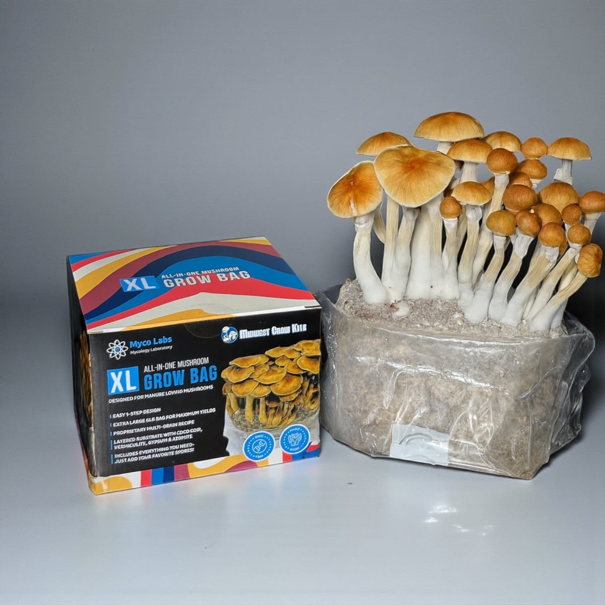 Wholesale All-in-One Mushroom XL Grow Bags (6 lbs) for Manure Loving Mushrooms (Case of 8) - Image 5