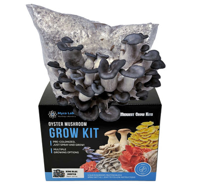 King Blue Oyster Mushroom Grow Kit (5lbs) - Image 1