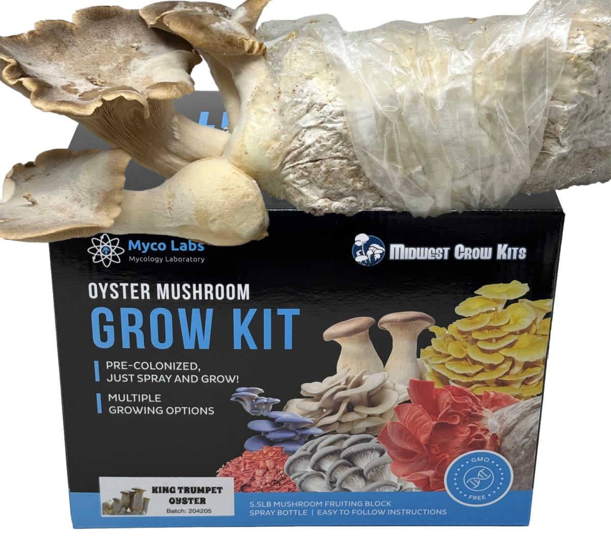 King Trumpet Oyster Mushroom Grow Kit (5lbs) - Image 1