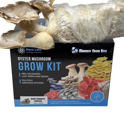 King Trumpet Oyster Mushroom Grow Kit (5lbs) - Image 1