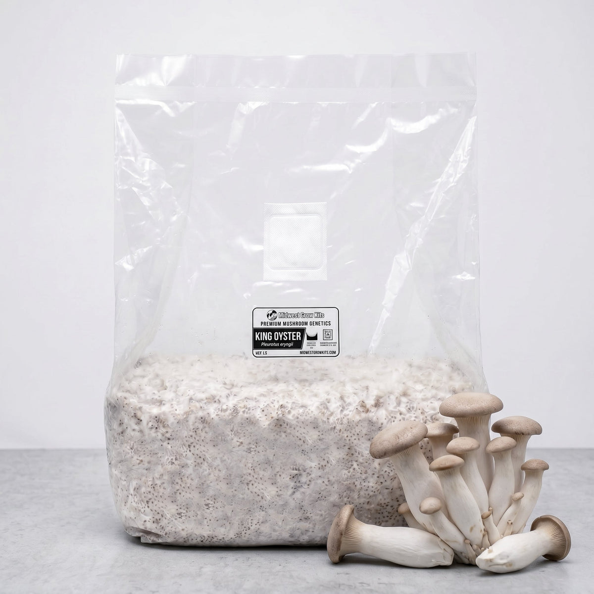 King Oyster Colonized Grain Spawn Bag 5 LB - Image 1