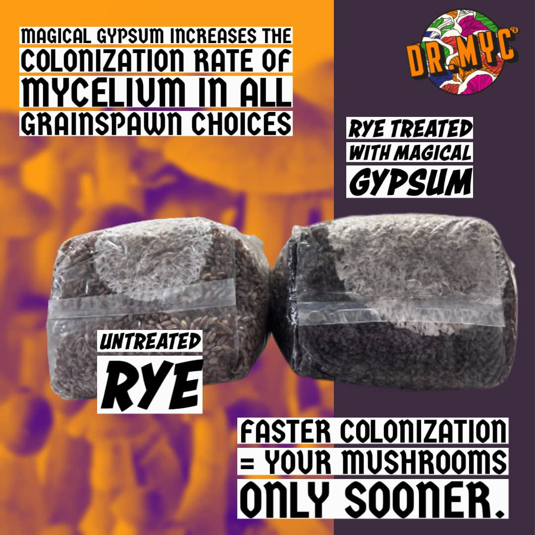 Magical Gypsum with MGP Microbes & Humic Acid - View 2