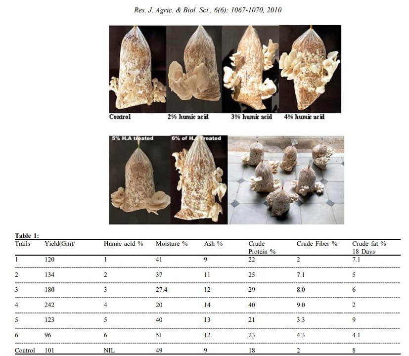 Magical Gypsum with MGP Microbes & Humic Acid - View 6