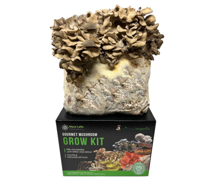 Maitake (Hen of the Woods) Mushroom Grow Kit (5lbs) - Image 1
