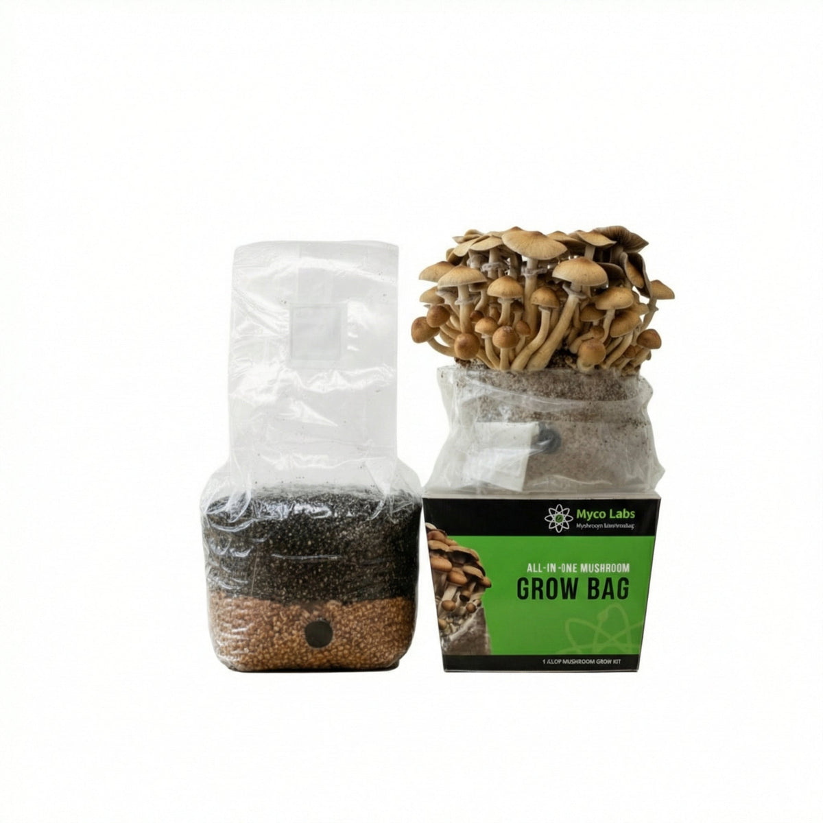 All-in-One Mushroom Grow Bag (4 lbs) for Manure Loving Mushrooms - Image 7