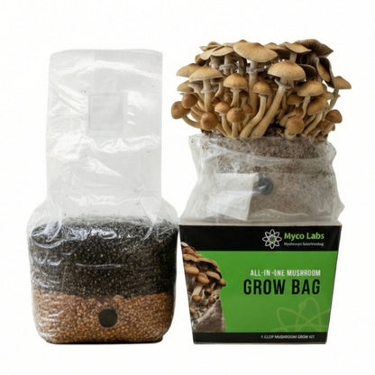 All-in-One Mushroom Grow Bag (4 lbs) for Manure Loving Mushrooms - Image 1