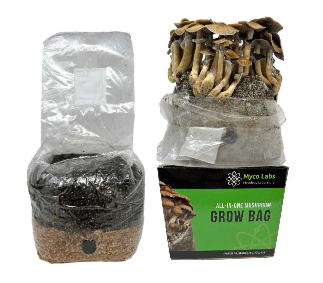 All-in-One Mushroom Grow Bag (4 lbs) for Manure Loving Mushrooms - Image 8