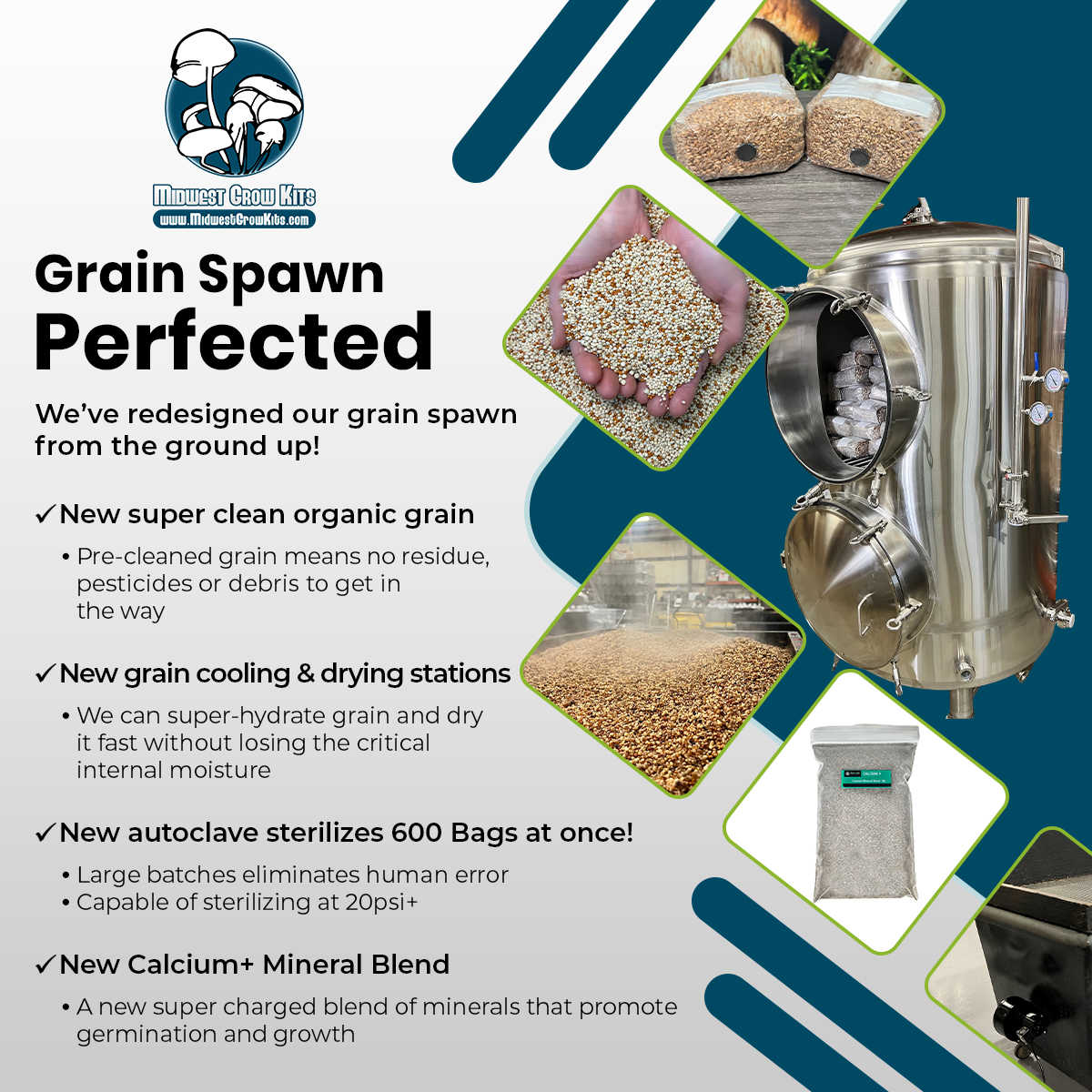 Premium 5-Grain Spawn Bags | Sterile Grain Bags for Mushroom Cultivation - Image 9