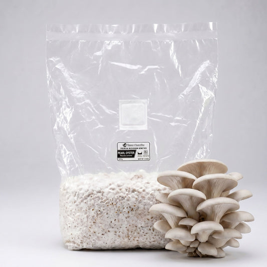 Pearl White Oyster Grain Spawn Bag 5 LB - Image 1
