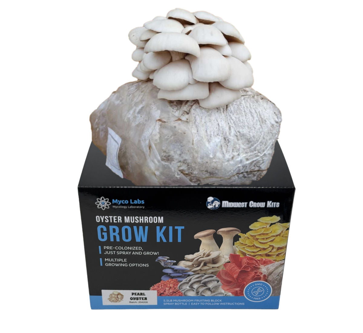 Pearl White Oyster Mushroom Grow Kit (5lbs) - Image 1