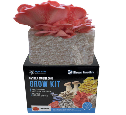 Pink Oyster Mushroom Grow Kit (5lbs) - Image 1