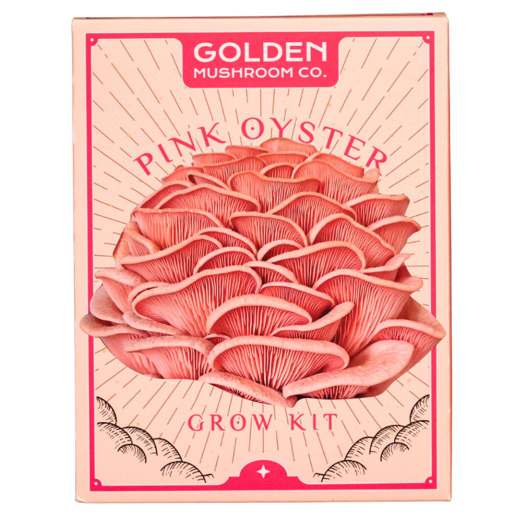 Pink Oyster Mushroom Grow Kit 3LB - Retail Case Pack (10 Kits) - Image 1