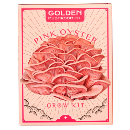 Pink Oyster Mushroom Grow Kit 3LB - Retail Case Pack (10 Kits) - Image 1