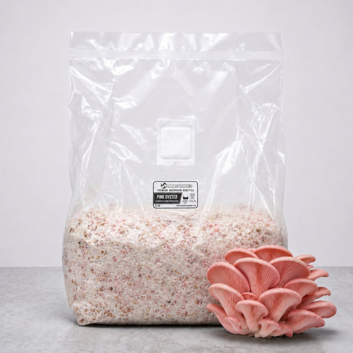Pink Oyster Colonized Grain Spawn Bag 5 LB - Image 1
