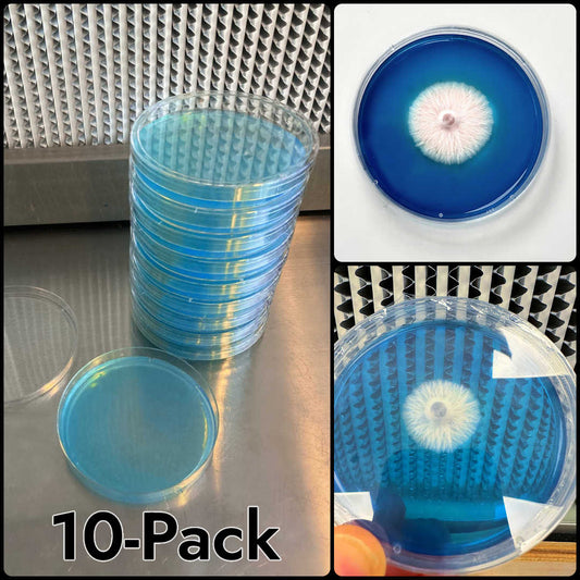 Rapid Rhizo Pre-Poured Sterilized Agar Plates (10-Pack) - Image 2