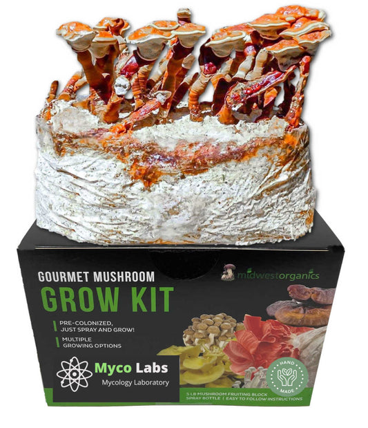 Red Reishi Mushroom Grow Kit (5lbs) - Image 1