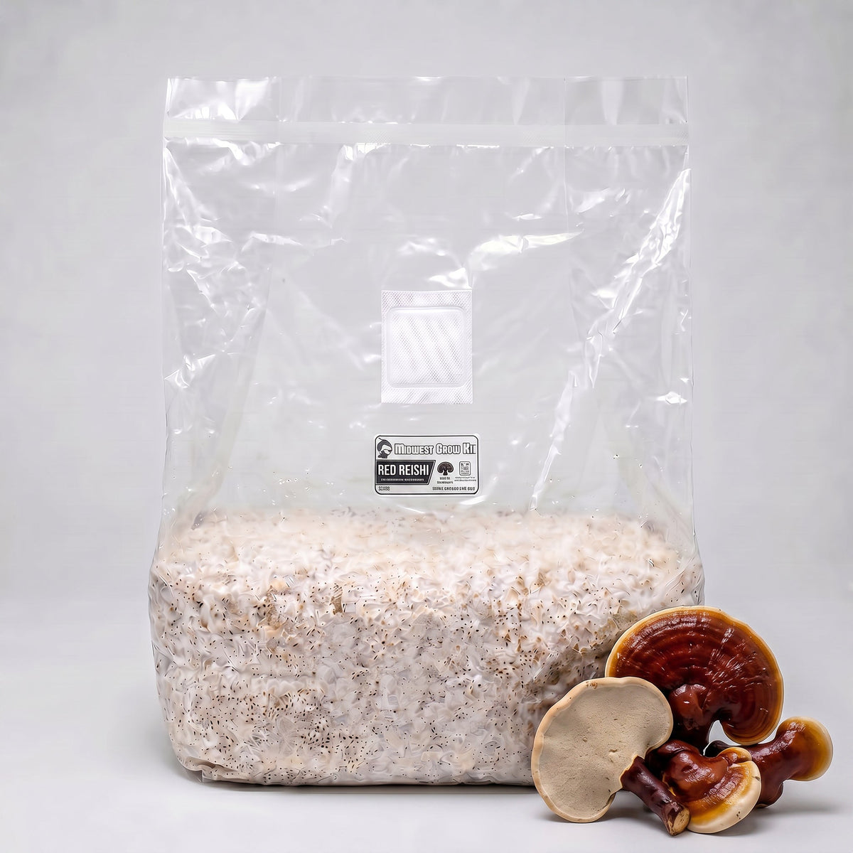 Red Reishi Colonized Grain Spawn Bag 5 LB - Image 1