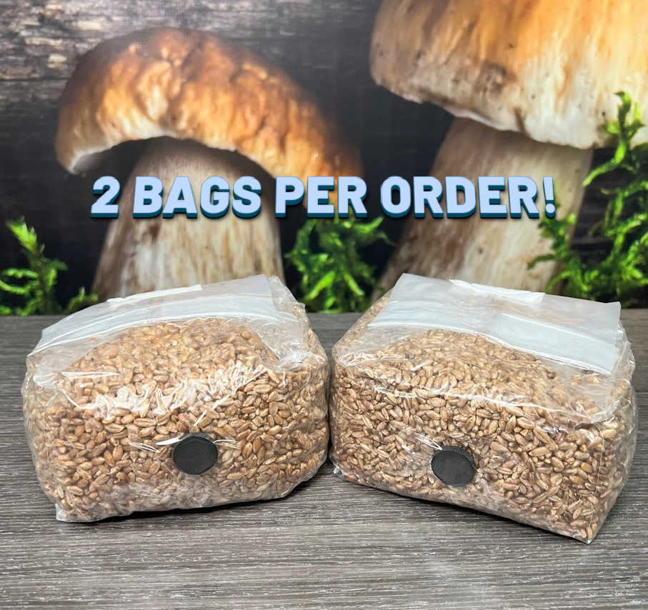 The Original Rye Spawn Bags - Image 5