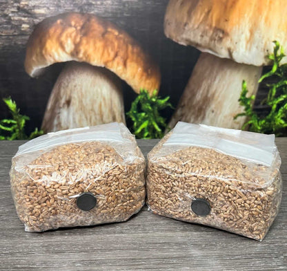 The Original Rye Spawn Bags - Image 7