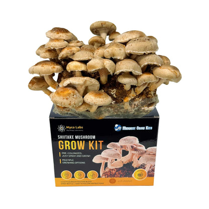 Shiitake Mushroom Grow Kit (5lbs) - Image 1